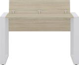 Carry.Office by rb | Schreibtisch mit Kufenfuß - 120,0 cm breit