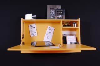 Röhr-Bush Active Wandbox gelb – 87 × 55,5 × 8,3 cm, Klappe