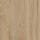 31 | Hickory Eiche