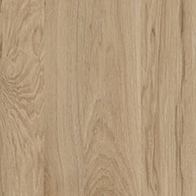 31 | Hickory Eiche