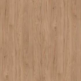 31 | Hickory Eiche